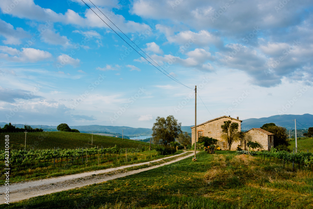 Countryside - Lazio