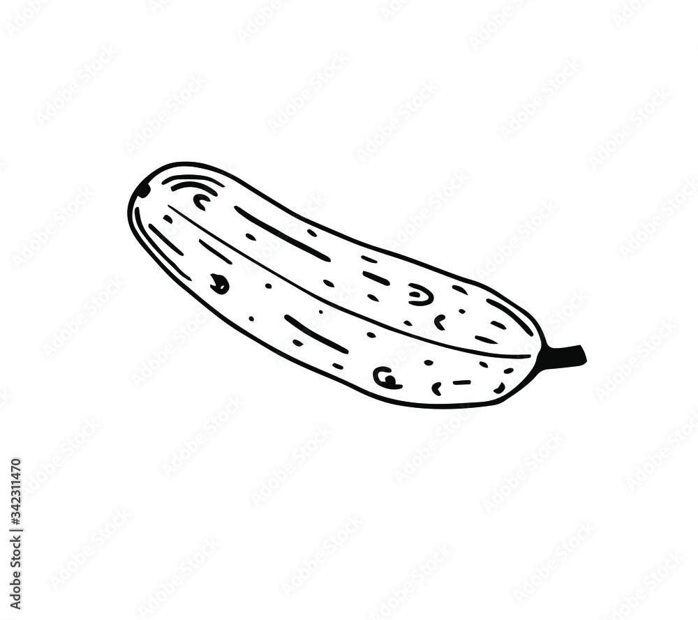 Cocumber vector illustration in Doodle style. Black outline, isolated image on a white background. For menu design, printed products. Cocumber vector illustration in Doodle style. Black outline, isolated image on a white background. For menu design, printed products.