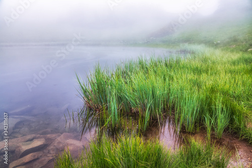 The shore of the lake with coastal grass is hidden in dense fog