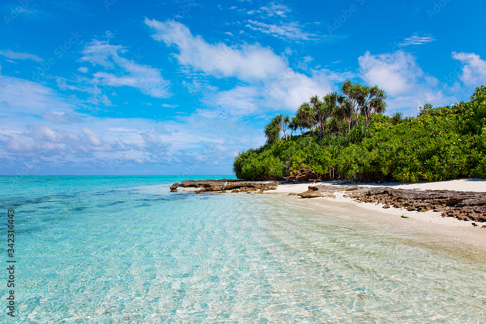 Obraz premium Large Bird on Maldive Island Sand Beach