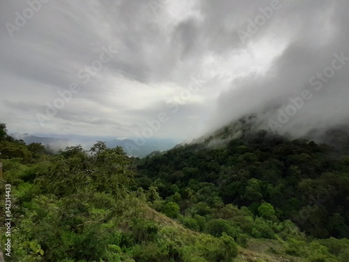 Beautiful Forest  Mountains  dam   tea plants  and sky view from valparai and snehatheeram beach