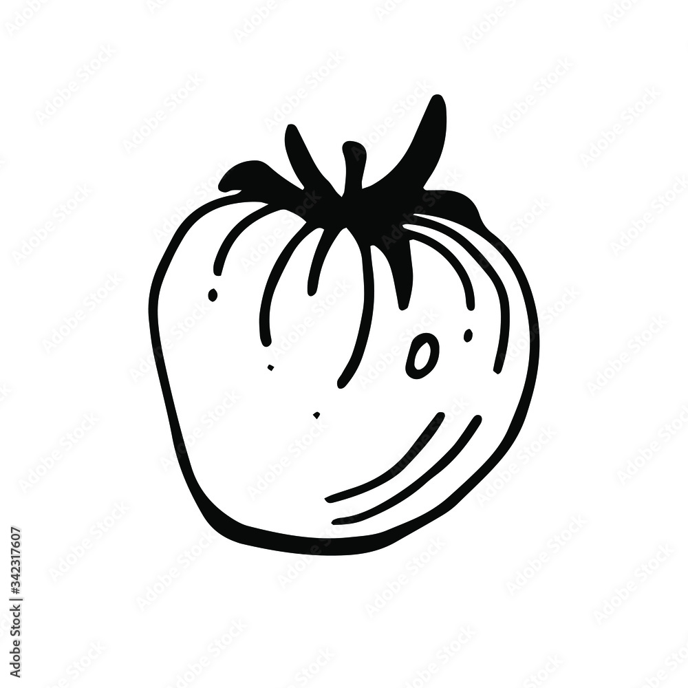Large tomato with leaves, vector illustration in Doodle style. Black outline, isolated image on a white background. For menu design, printed products. Large tomato with leaves, vector illustration in Doodle style. Black outline, isolated image on a white background. For menu design, printed products.