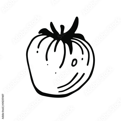 Large tomato with leaves, vector illustration in Doodle style. Black outline, isolated image on a white background. For menu design, printed products.