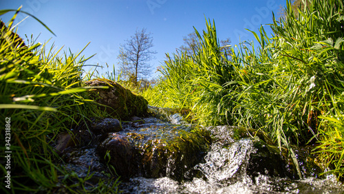 Fresh creek in meadow