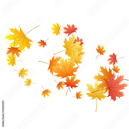 Maple leaves vector background, autumn foliage on white graphic design. © SunwArt