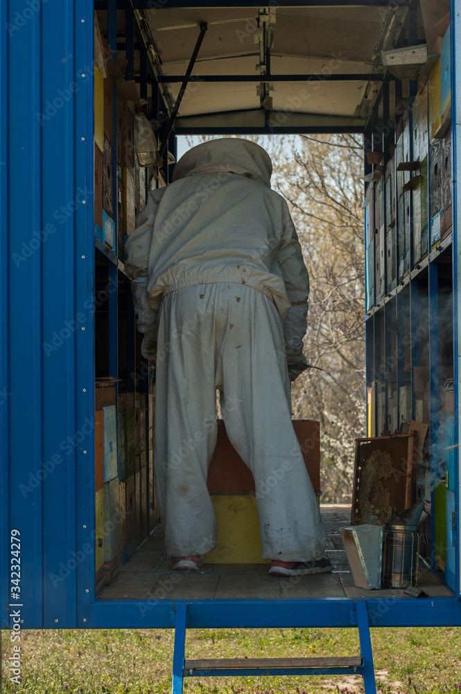 Beekeeper working collect honey. Beekeeping concept.Man and insect Beekeeper working collect honey. Beekeeping concept.Man and insect
