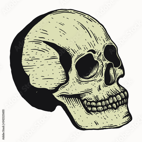 Skull vintage engraving style isolated vector hand drawn illustration for graphic design and creative projects. stamp logo emblem, retro branding and tattoo design