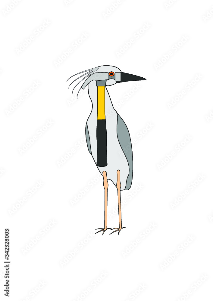 Obraz premium hammer bird