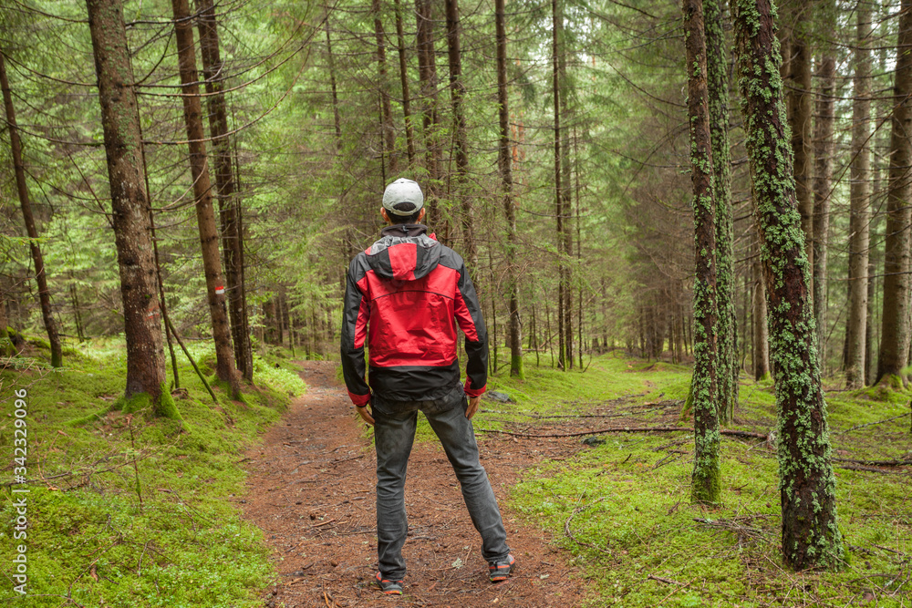 Obraz premium A trekker walking solo among the forest in a cloudy day
