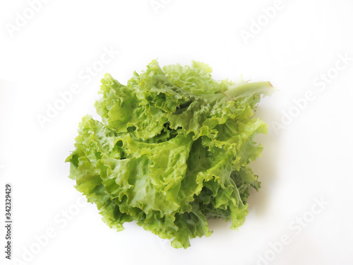 Leafy vegetable - Lettuce. Scientific name - Lactuca sativa. Lettuce is most often used for salads, although it is also seen in other kinds of food, such as soups, sandwiches and wraps.