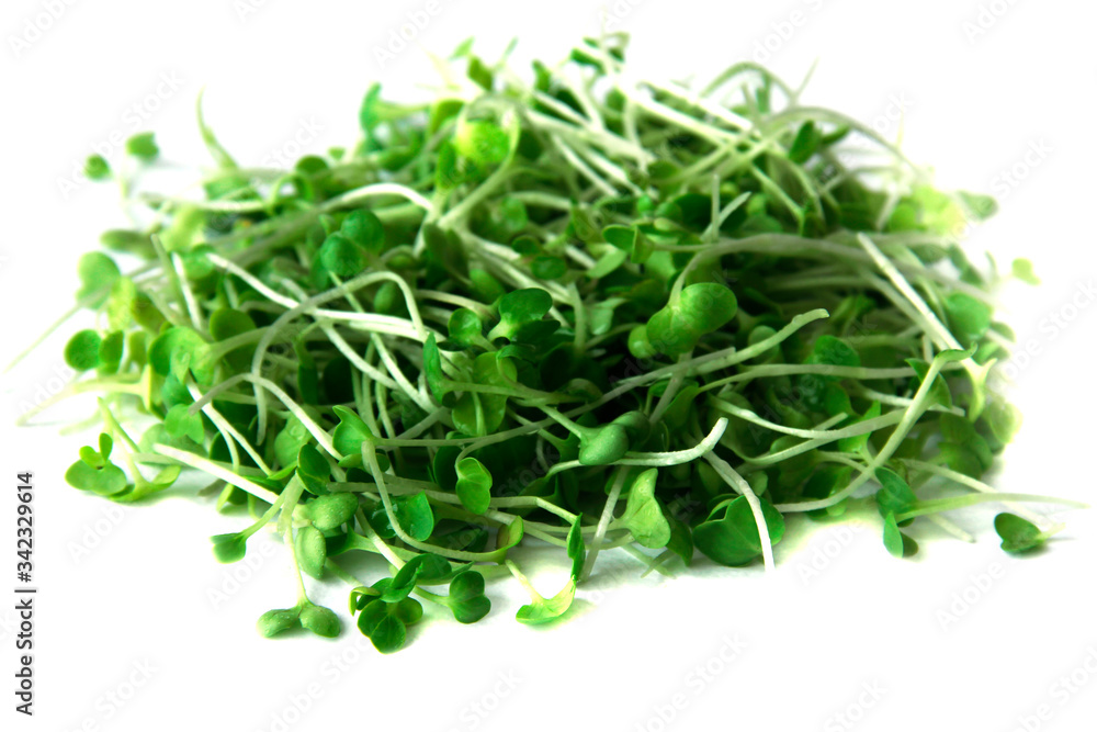 Arugula micro greens sprouts isolated on white background. Healthy eating micro greens concept Arugula micro greens sprouts isolated on white background. Healthy eating micro greens concept
