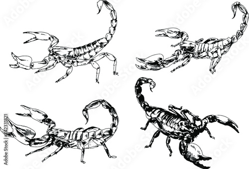 vector drawings sketches different insects bugs Scorpions spiders drawn in ink by hand   objects with no background