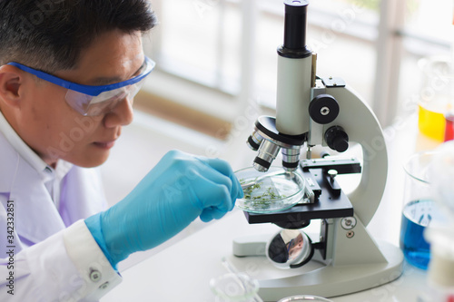 Thai Asian male researchers are stepping herbs into a glass dish intentionally for research and microscopic observation in the laboratory. In the concept of the research of antiretroviral drug
