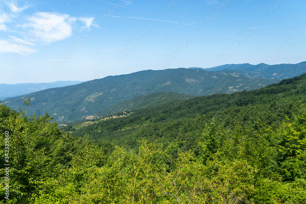 Summer landscape near La Verna, Tuscany
