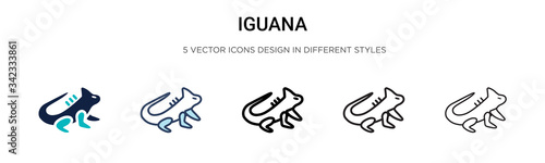 Iguana icon in filled, thin line, outline and stroke style. Vector illustration of two colored and black iguana vector icons designs can be used for mobile, ui, web