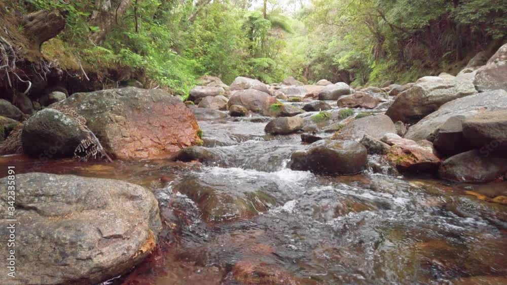 A beautiful mountain stream in New Zealand A beautiful mountain stream in New Zealand