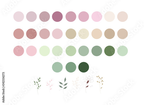 Fotografie, Obraz neutrals color palette and abstract flowers, procreate  swatches, workpiece icon
