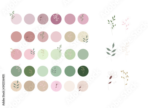 neutrals color palette and abstract flowers, procreate  swatches, workpiece icons