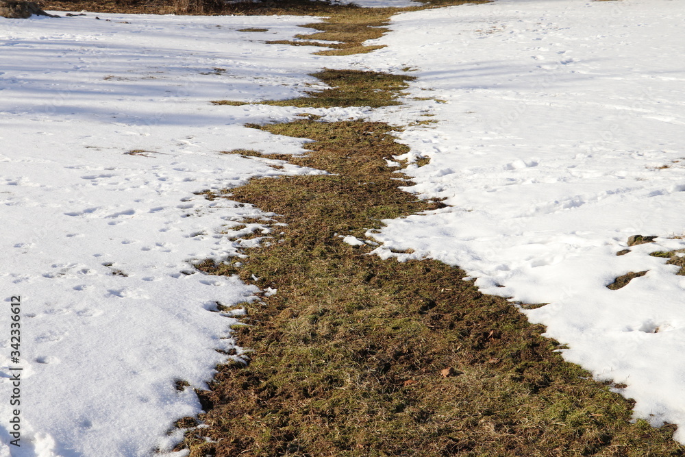 Melted snow on the grass. Bad isolation concept. Underground heating line. Melted snow  shows where heat loss from underground pipes occurs in the winter.