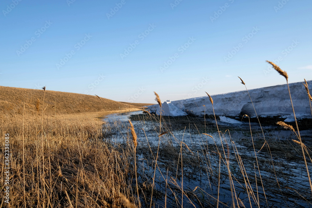 In the field in the spring. Field grass. Sunset, blurred background, melting snow