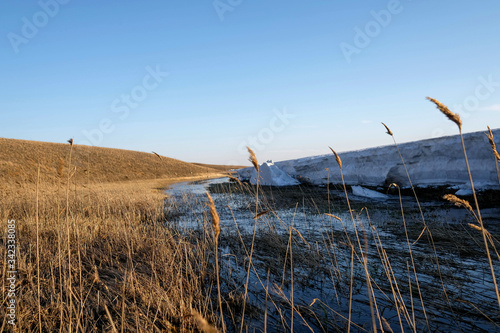 In the field in the spring. Field grass. Sunset, blurred background, melting snow © Elena Loginova