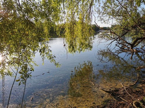 Versteckter Schwan