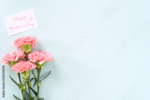 Mother's Day background, carnation bunch - Beautiful pale pink flower bouquet isolated on pastel blue table, top view, flat lay, copy space design.