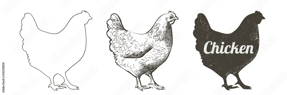 5 Hen Chicken Silhouette Die Cuts Black Card 