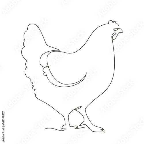 chicken, hen bird. Poultry, broiler, farm animal feeding. Vintage Easter card. Egg packaging design. Realistic sketch, line, silhouette, engraving illustration.