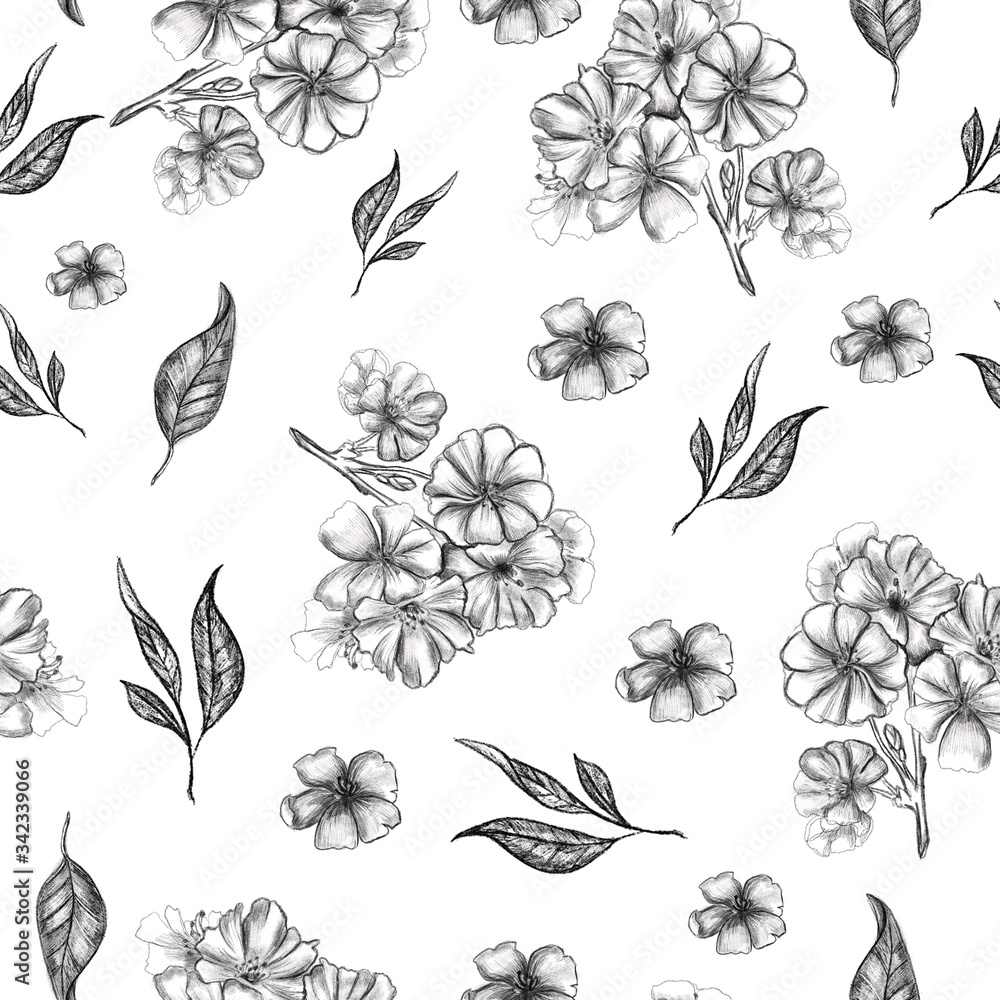 Cute realistic flowering cherry tree flowers. Seamless pattern. Hand drawn pencil stock illustration of blossom apple flowers. Isolated on white background. Trendy design for textile, wrapping. Cute realistic flowering cherry tree flowers. Seamless pattern. Hand drawn pencil stock illustration of blossom apple flowers. Isolated on white background. Trendy design for textile, wrapping.
