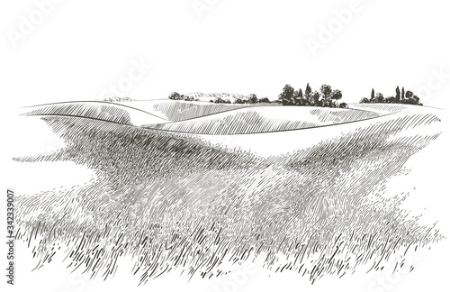 Photo Vector sketch Green grass field on small hills