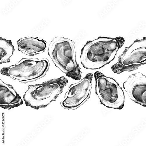 Seamless border with pacific oysters. Pencil hand drawn sketch of edible molusk.