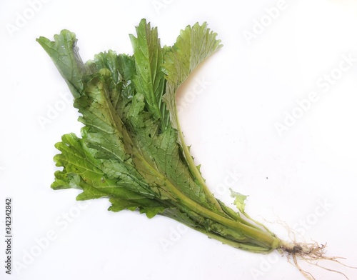 Leafy vegetable - Vegetable mustard. Scientific name - Brassica juncea. It is cooked as stir fry or boiled. It is called Lai xaak in Assam, India. photo