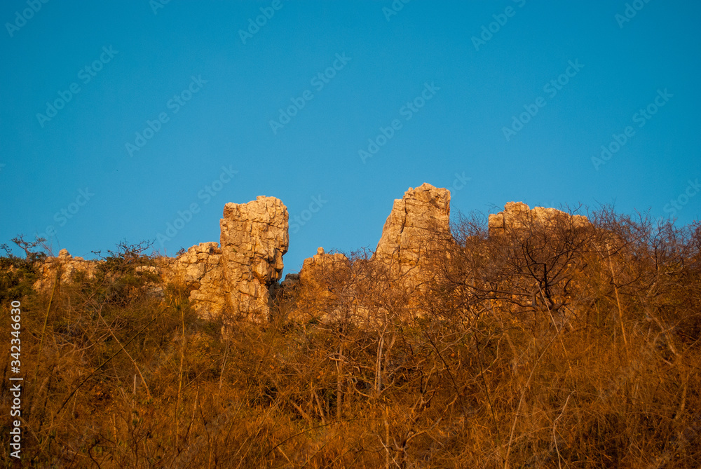 Rocky mountains and dry trees