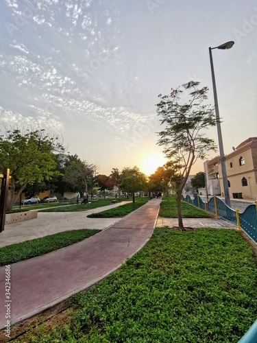 road in the park