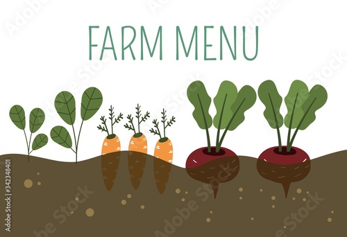 Farm vegetables in ground banner vector illustration.