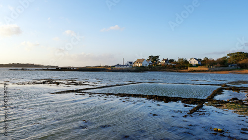 Oyster farm in Finstere coast. Brittany landscape photo