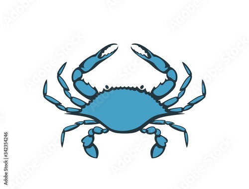 Blue crab logo. Isolated blue crab on white background