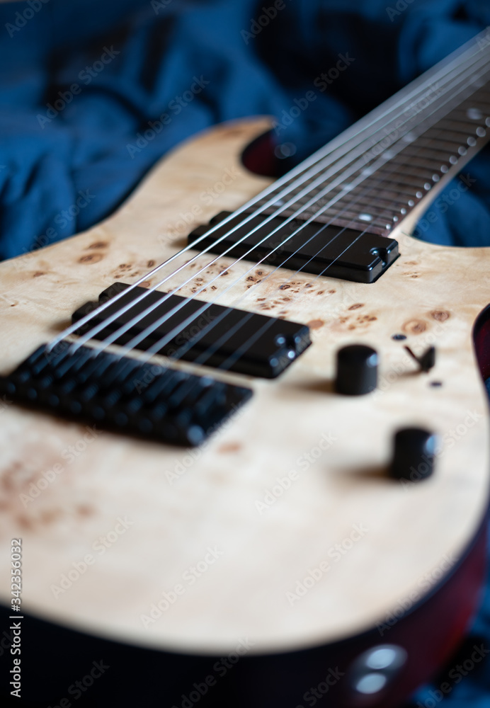 Fototapeta premium Guitarra eléctrica 8 cuerdas