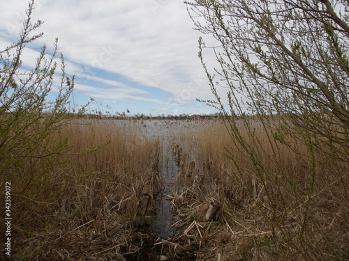 Fototapeta Naklejka Na Ścianę i Meble -  KODAK Digital Still Camera