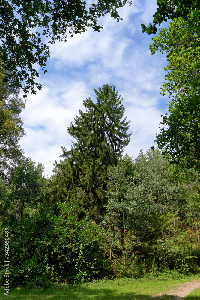 hiking path iin the Chevreuse valley regional nature park hiking path iin the Chevreuse valley regional nature park