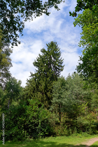 hiking path iin the Chevreuse valley regional nature park