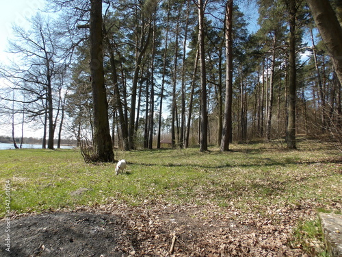 Fototapeta Naklejka Na Ścianę i Meble -  KODAK Digital Still Camera