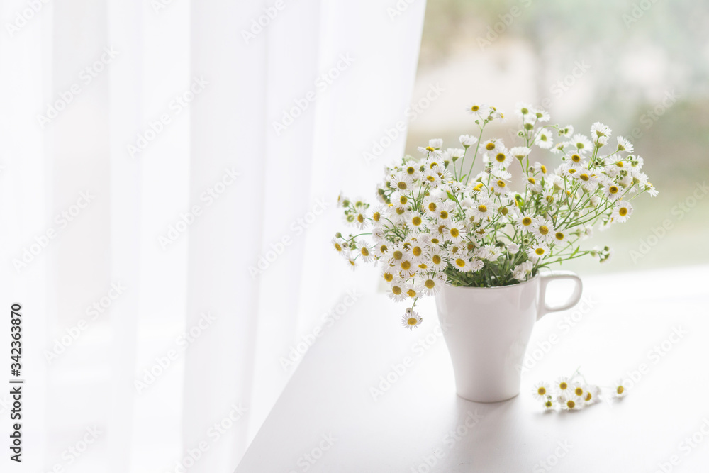 Fototapeta premium Bouquet of gentle camomile in white cup. Morning light in the room. Soft home decor, vase with white flowers on white wall background and on wooden table. Interior. Greeting card. Copy space.