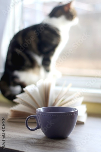 Cup of coffee or tea, open book and a cat at home. Selective focus.
