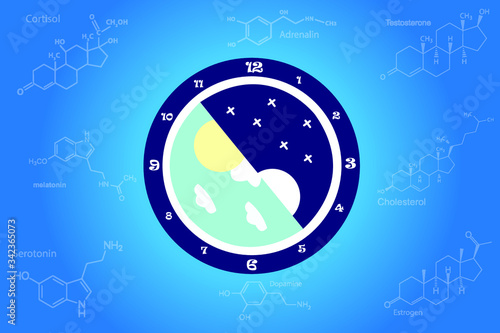 The circadian rhythms are controlled by circadian clocks or biological clock these clocks tell our brain when to sleep, tell our gut when to digest and control our activity in several day.