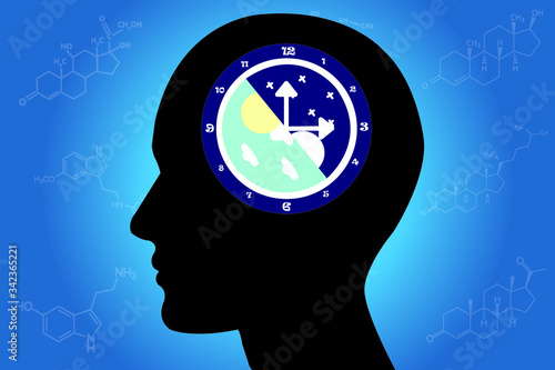 The circadian rhythms are controlled by circadian clocks or biological clock these clocks tell our brain when to sleep, tell our gut when to digest and control our activity in several day.