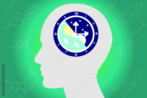 The circadian rhythms are controlled by circadian clocks or biological clock these clocks tell our brain when to sleep, tell our gut when to digest and control our activity in several day.