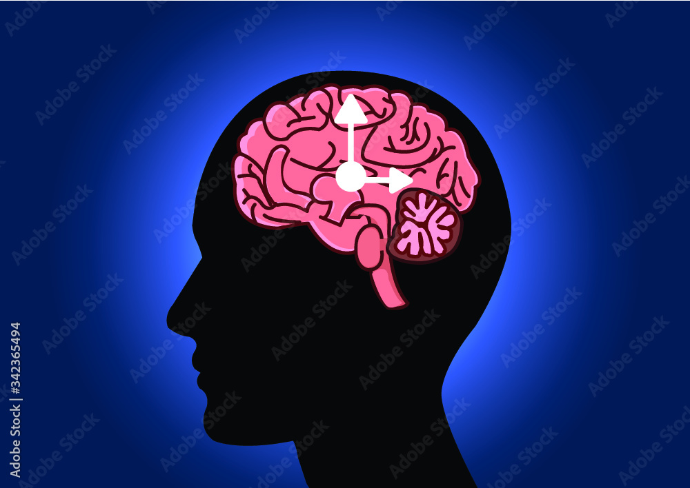 The circadian rhythms are controlled by circadian clocks or biological clock these clocks tell our brain when to sleep, tell our gut when to digest and control our activity in several day. The circadian rhythms are controlled by circadian clocks or biological clock these clocks tell our brain when to sleep, tell our gut when to digest and control our activity in several day.