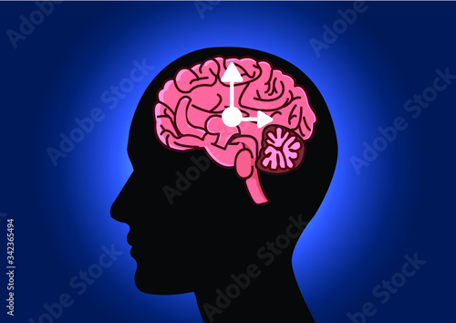 The circadian rhythms are controlled by circadian clocks or biological clock these clocks tell our brain when to sleep, tell our gut when to digest and control our activity in several day.